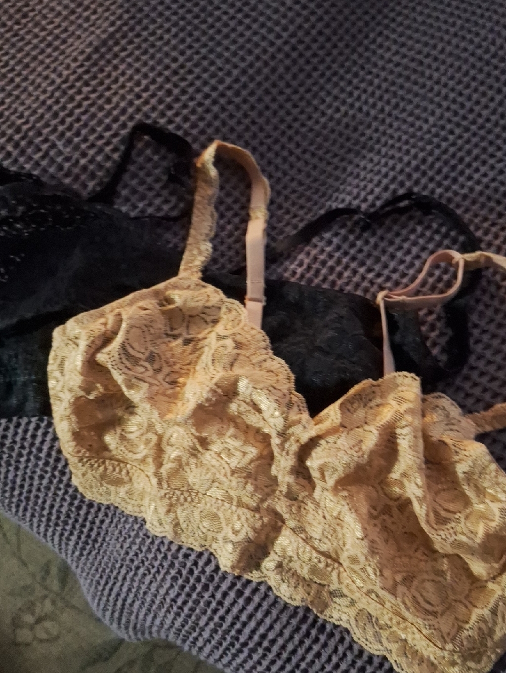 Quince Stretch Lace Sweetheart Bralette (2-pack) Black/Clay M New - Picture 3 of 4